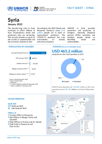 Syria Factsheet | Global Focus